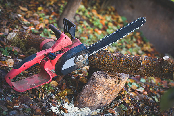 Best Emergency Tree Removal  in Crofton, MD